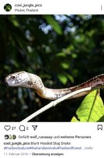 Screenshot_20250727_150328_Instagram.jpg