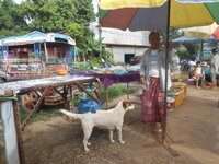 DSCN1386.JPG
