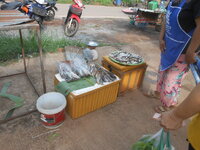 DSCN1387.JPG