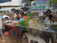 DSCN1388.JPG