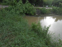 DSCN1413.JPG