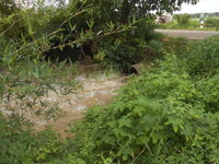 DSCN1402.JPG