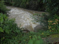 DSCN1400.JPG