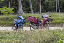 118-Farm-Viet-2025-0720-01.jpg