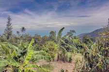 118-Farm-Viet-2025-0720-02.jpg