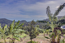 118-Farm-Viet-2025-0720-03.jpg