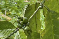 118-Farm-Viet-2025-0720-06.jpg