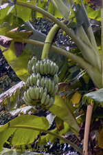 118-Farm-Viet-2025-0720-08.jpg