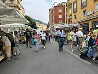 IMG_7748.jpeg