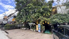 IMG_4617.jpeg