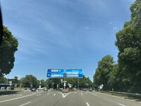 IMG_7782.jpeg