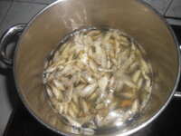 DSCN1421.JPG
