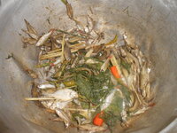 DSCN1420.JPG