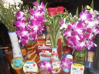 DSCN1422.JPG