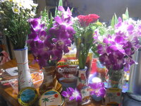 DSCN1434.JPG