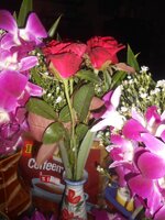 DSCN1423~2.JPG