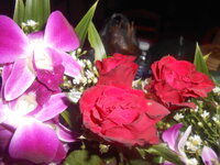 DSCN1426.JPG