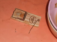 DSCN1448.JPG