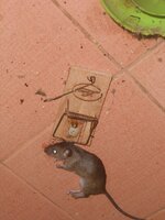 DSCN1446~2.JPG