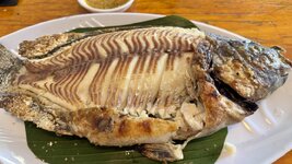 IMG_4669.jpeg