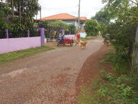 DSCN1453.JPG