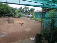 DSCN1455.JPG