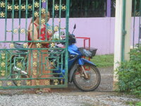 DSCN1458.JPG