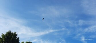 20250519_182552.jpg