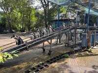 IMG_3166.jpeg
