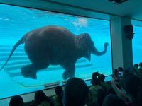 IMG_3220.jpeg
