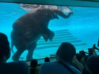 IMG_3218.jpeg