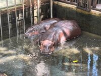 IMG_3195.jpeg