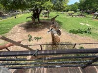 IMG_3206.jpeg