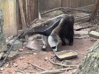 IMG_3238.jpeg