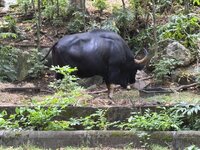 IMG_3283.jpeg