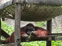 IMG_3288.jpeg