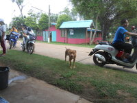 DSCN0961.JPG