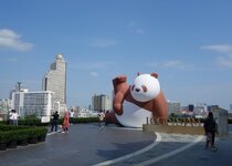 DSC07152.JPG