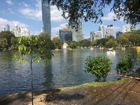 IMG_9259.jpeg