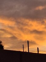 20250802_055546.jpg