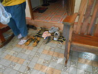 DSCN1032.JPG