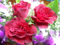 DSCN1428.JPG