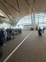 IMG_7916.jpeg