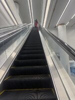 IMG_7913.jpeg
