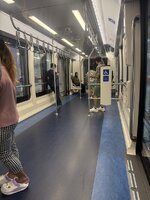 IMG_7911.jpeg