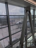 IMG_7917.jpeg