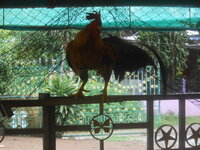 DSCN1602.JPG