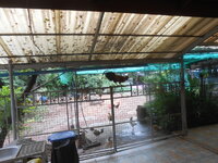 DSCN1600.JPG