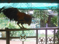 DSCN1601.JPG