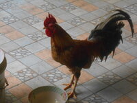 DSCN1599.JPG